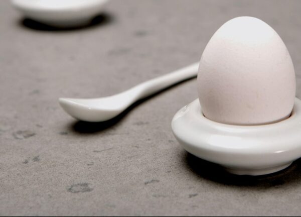 Oyster - Image 3