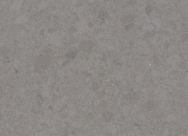 Oyster - Image 2
